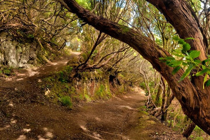Ganztägige geführte Tour von Teneriffa nach La Gomera
