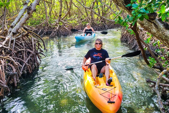 Tunnel delle mangrovie & Eco-Tour in kayak con lamantino