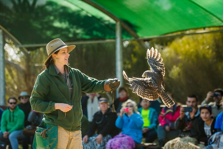 Tour di un'intera giornata a Kangaroo Island Sip and See con partenza da Kangaroo Island