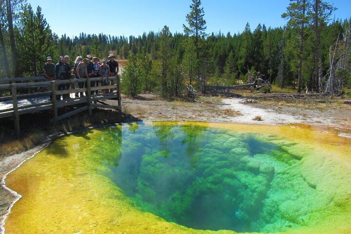 Excursão de caminhada de 6 milhas no gêiser em Yellowstone com almoço