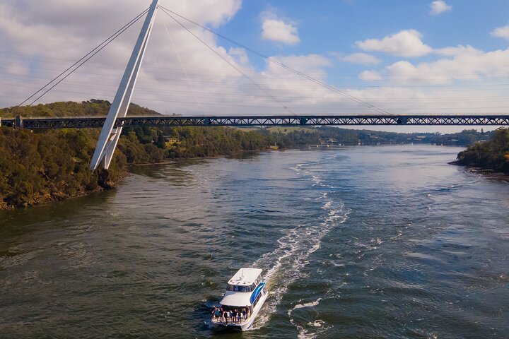 Batman Bridge 4-timers frokostsejlads inklusive kataraktgrotten