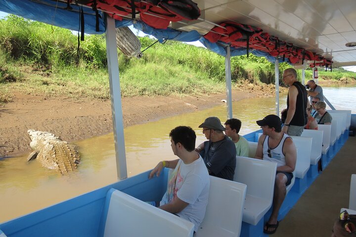 Jungle Krokodillen Safari : Tarcoles River Krokodillentocht