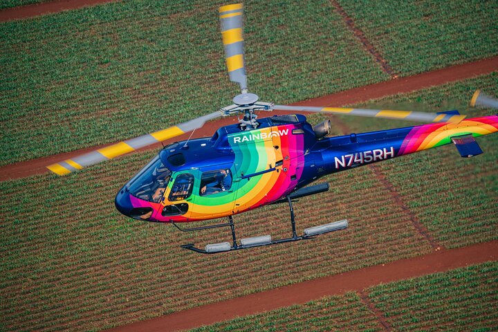 Oahu : 60 min Royal Crown Helicopter Tour - portas abertas ou abertas