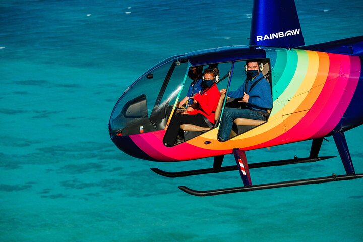 Oahu : 60 min Royal Crown Helicopter Tour - portas abertas ou abertas