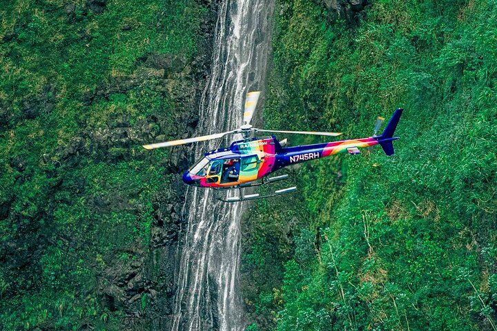 Oahu : 60 min Royal Crown Helicopter Tour - portas abertas ou abertas