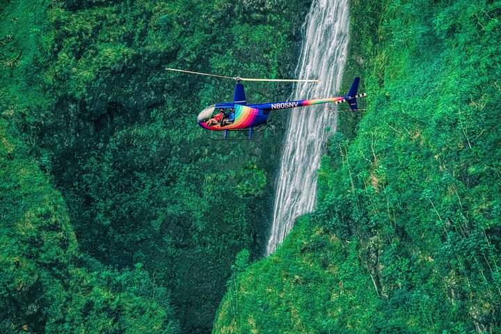 Oahu : 60 min Royal Crown Helicopter Tour - portas abertas ou abertas