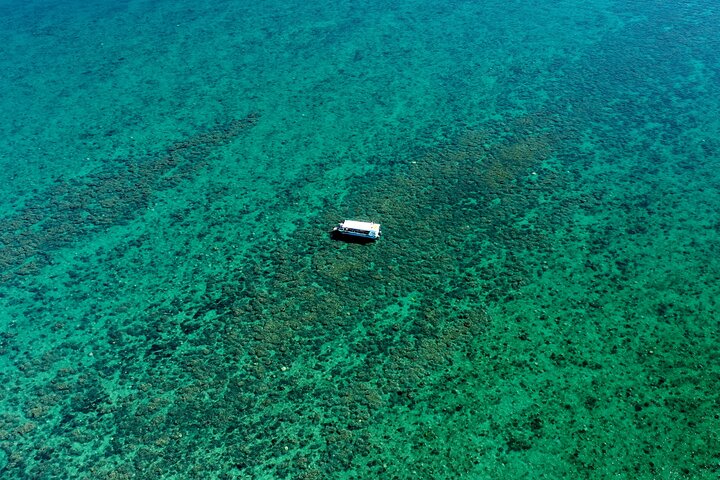 Descubrimiento de tortugas y gran aventura en el parque marino Sandy