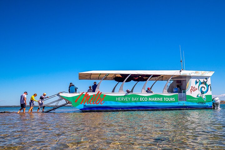 Descubrimiento de tortugas y gran aventura en el parque marino Sandy