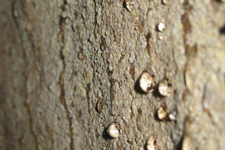 Grotta Dei Tayo | Speleologia | caverne misteriose | Pozzi di luce | Puyo
