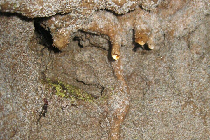 Grotta Dei Tayo | Speleologia | caverne misteriose | Pozzi di luce | Puyo