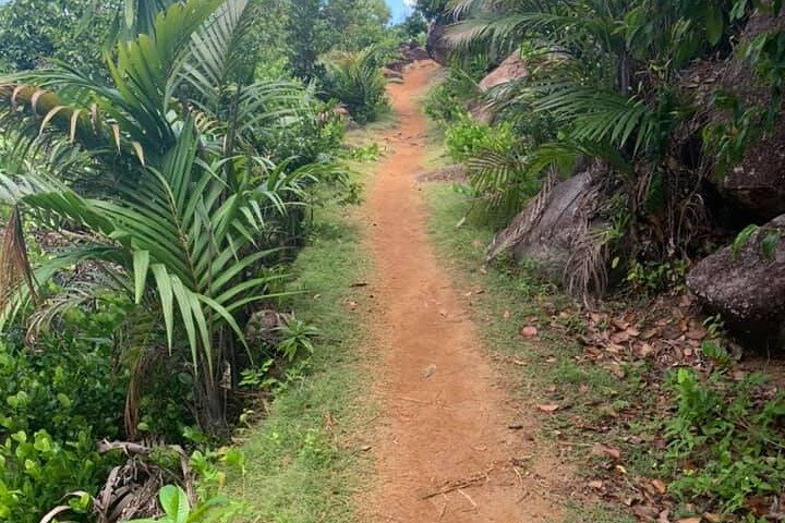 Escursione rilassante ad Anse Major | Mahe, Seychelles, fantastico tour privato