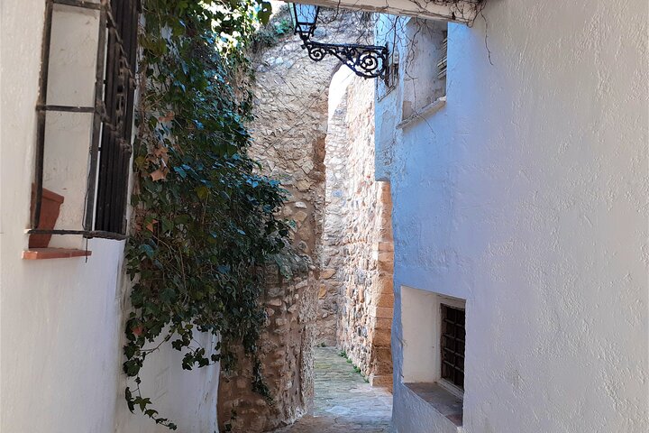 Recorrido privado a pie de Antequera por Tours en Málaga