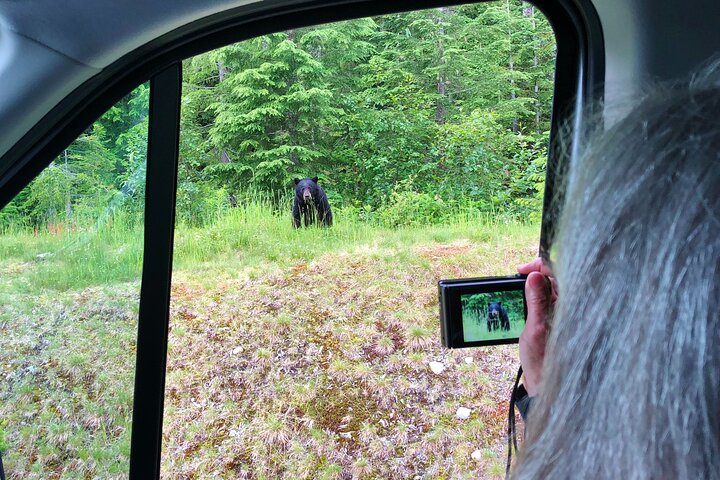 Whistler Sightseeing Tour: Entdecken Sie das ganze Jahr über Whistler!