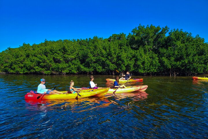 Tunnel delle mangrovie & Eco-Tour in kayak con lamantino