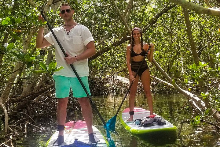 Tunnel delle mangrovie & Eco-Tour in kayak con lamantino