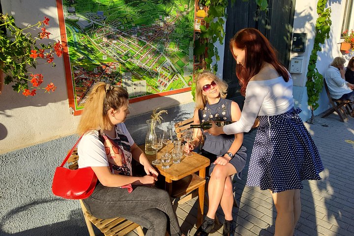Day trip from Bratislava: Winery Tour with Wine Tasting in the Countryside