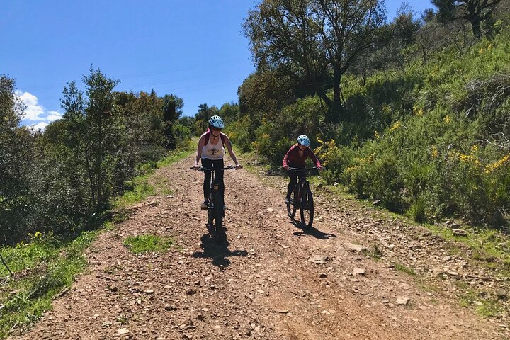 Tour en bicicleta de montaña por la Madonie desde Cefalù