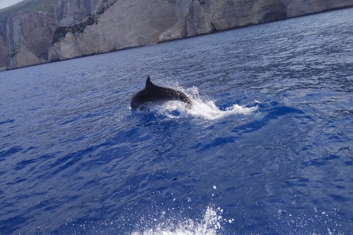 Zakynthos All Day Tour Shipwreck-stranden, utsiktspunkt - Blue Caves