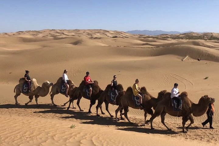 Tour privado de un día al desierto de Kubuqi desde Hohhot con recogida
