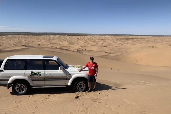 Tour privado de un día al desierto de Kubuqi desde Hohhot con recogida