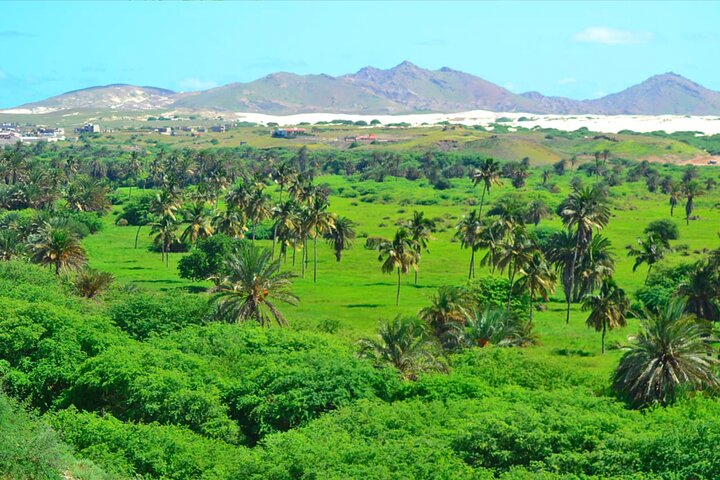 Insel Boa Vista: Ganztägige wilde Strände und Erlebnis in der Viana-Wüste