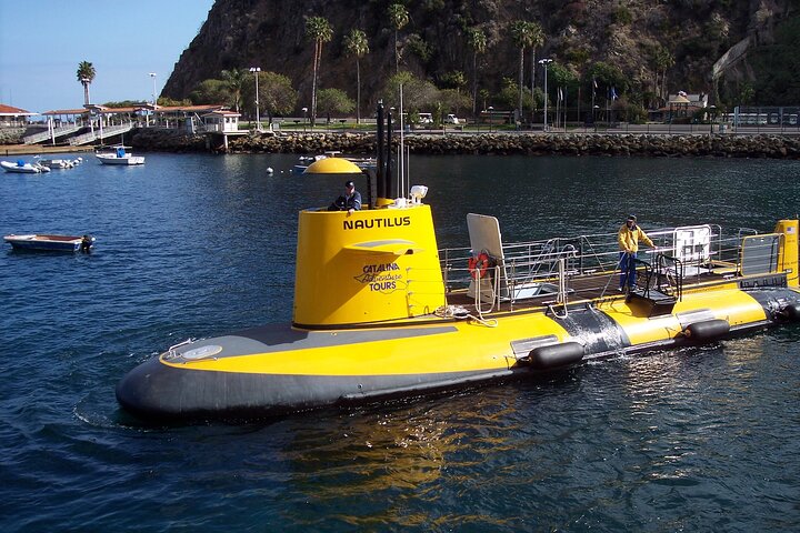Tour in semi-sottomarino giallo dell'isola di Catalina da Avalon