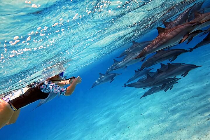 Gita di snorkeling alla Sataya Dolphin House - Marsa Alam
