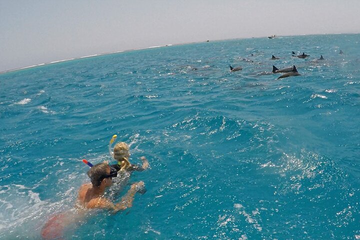 Gita di snorkeling alla Sataya Dolphin House - Marsa Alam