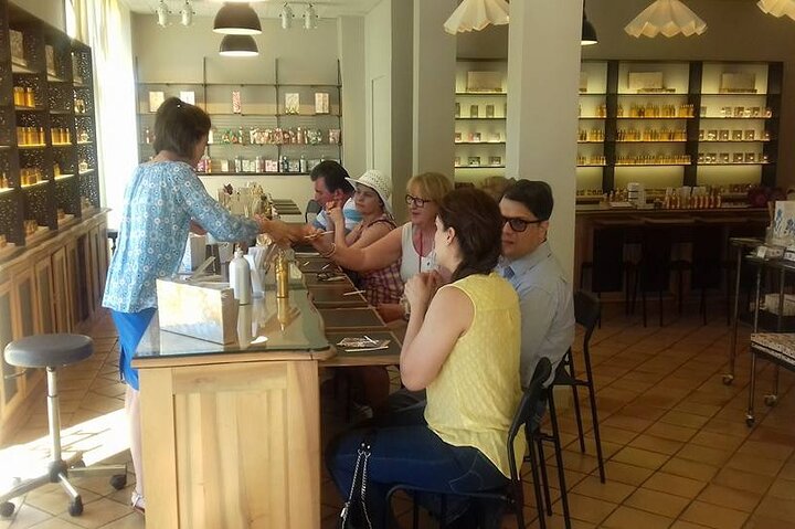 Excursión de medio día en grupo pequeño a Mónaco, Montecarlo y Eze Village