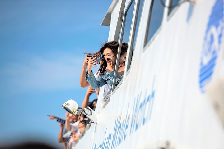 City Cruises Boston Whale Watching Cruise em barco de alta velocidade