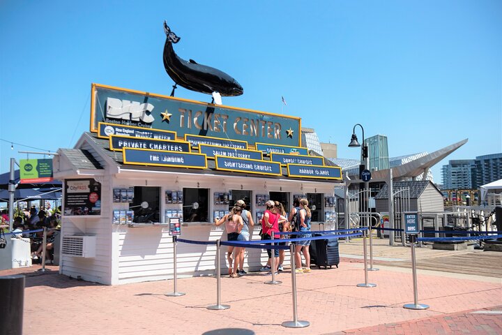 City Cruises Boston Whale Watching Cruise em barco de alta velocidade