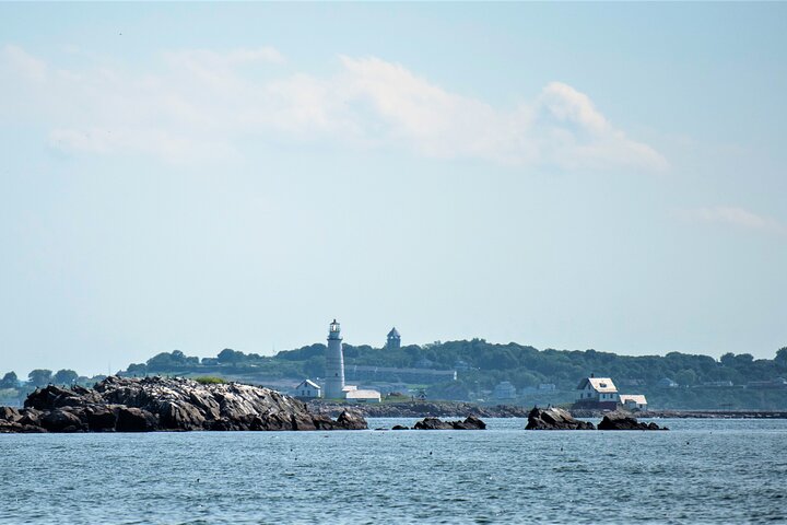 City Cruises Boston Whale Watching Cruise em barco de alta velocidade