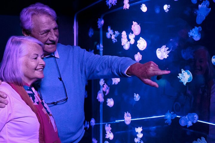 Ingressos para o SEA LIFE New Jersey no American Dream