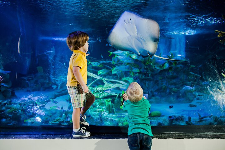 Ingressos para o SEA LIFE New Jersey no American Dream
