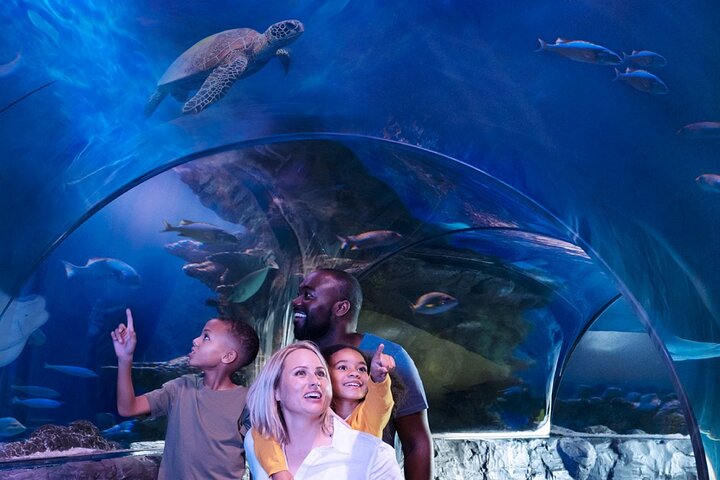 Ingressos para o SEA LIFE New Jersey no American Dream