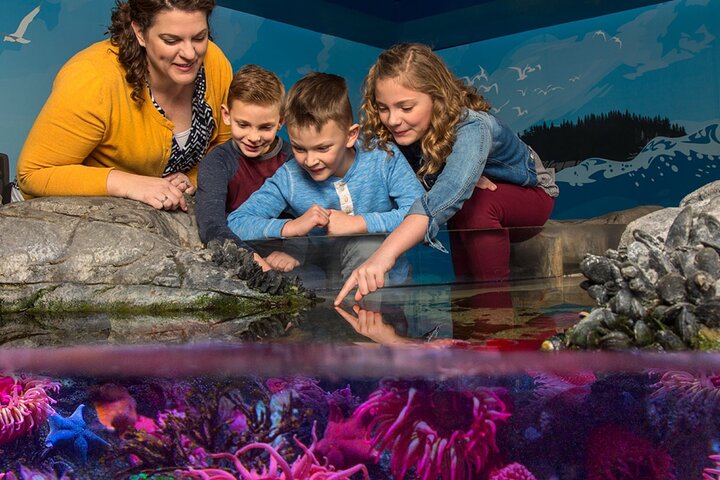 Ingressos para o SEA LIFE New Jersey no American Dream