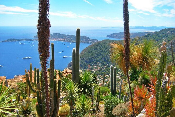 Tour privato personalizzato della Costa Azzurra da Port Villefranche 8H