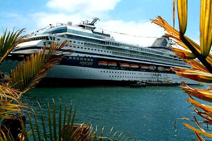 Visite privée personnalisée de la Côte d'Azur au départ du port de Cannes 8H