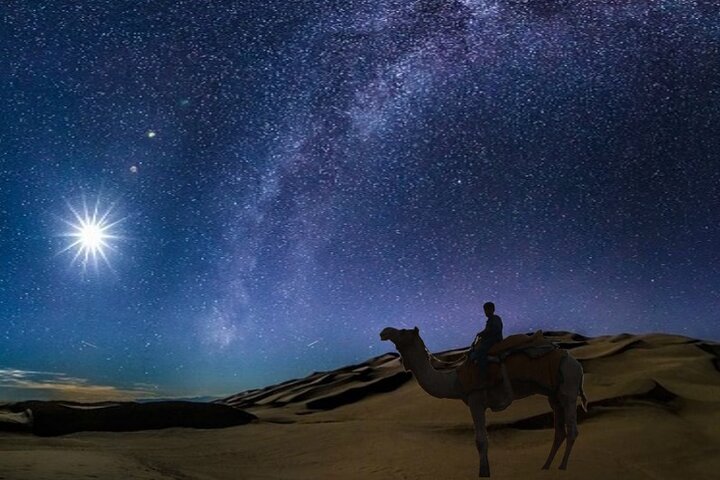 Doha Night Desert Safari: Dune Bashing, Camel Ride & Stargazing