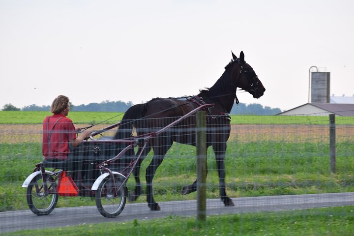 Premium Amish Country Tour inkludert Amish Farm og House