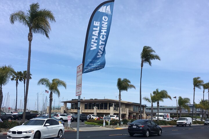 Crucero de avistamiento de ballenas en San Diego