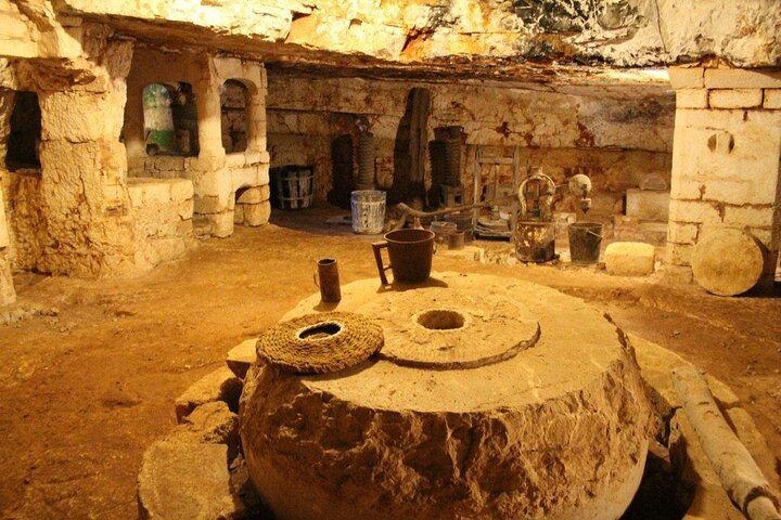 Ostuni: Degustazione di Olio Extra Vergine di Oliva in Masseria