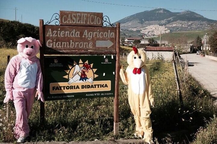 Guidad tur från Agrigento: sicilianska traditioner med gård