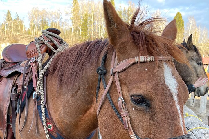 Passeggiate a cavallo con vista sul Grand Teton a Jackson Hole