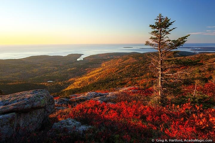 Tour privado de 3 horas por lo mejor de Acadia : Cadillac & Park Loop Road