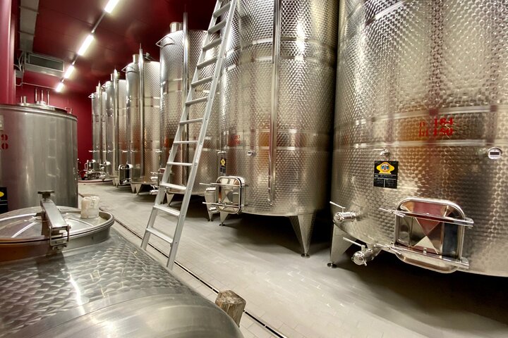 Große Tour durch Valpolicella : Schwerpunkt Amarone, 2 Weingüter und Mittagessen
