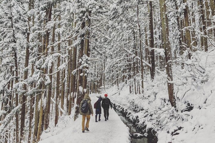 1 - Dag Snow Monkeys, Zenko-ji Temple & Sake i Nagano