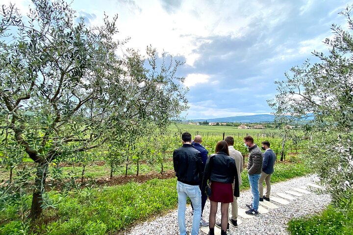 Große Tour durch Valpolicella : Schwerpunkt Amarone, 2 Weingüter und Mittagessen