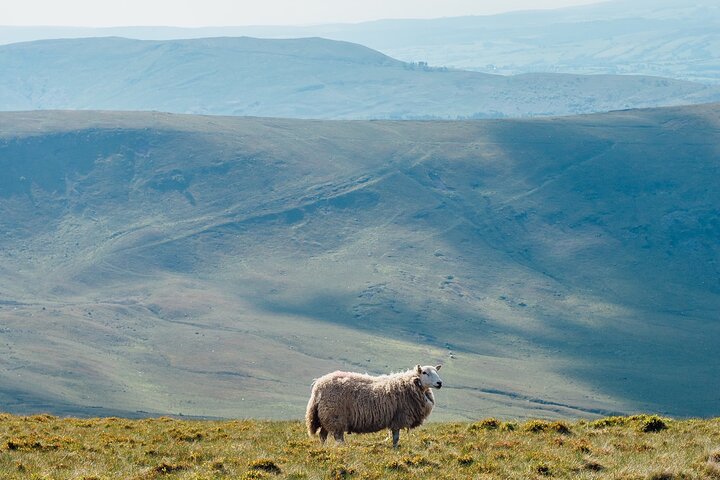 Brecon Beacons Tour App, Hidden Gems Game och Big Britain Quiz (7 Day Pass) UK