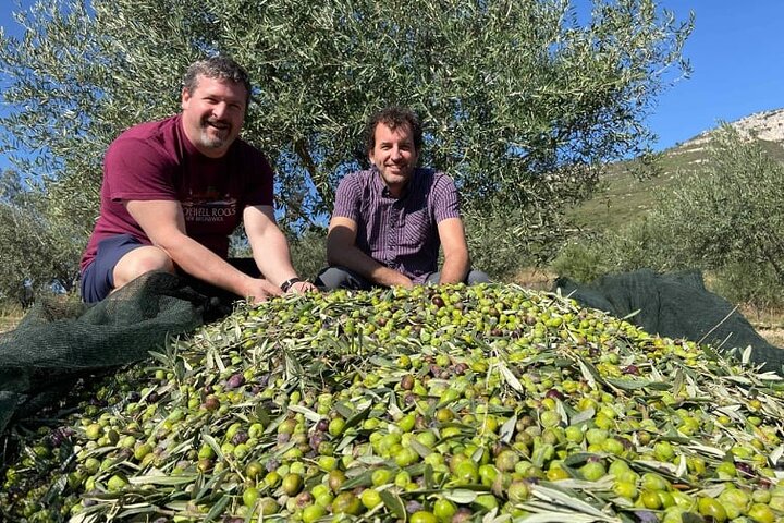 Olivenöl-Tour und Verkostung mit Sommelier – Kalentzi, Tagesausflug nach Athen